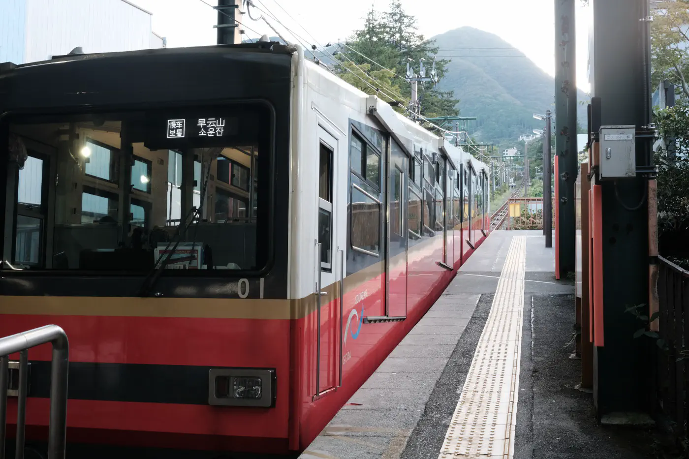 3185.JPG