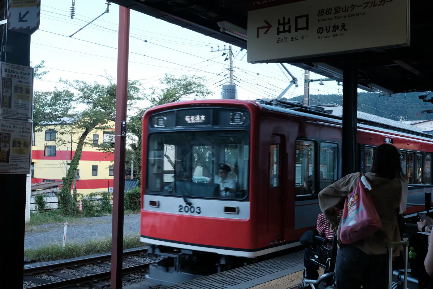 3187.JPG